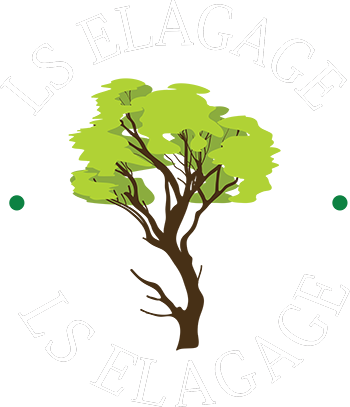 Élagage Seine-et-Marne (77), LS ÉLAGAGE, Entretien jardin, Engazonnement,  Pose de clôtures