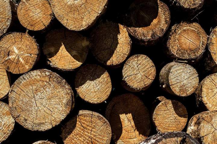 Commercialisation de bois de chauffage à Champagne-sur-Seine